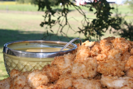 chicken strips with honey-mustard dipping sauce